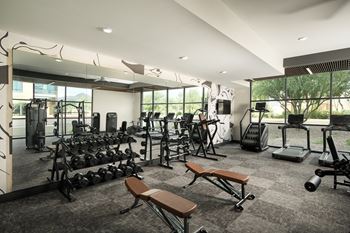 A gym with a variety of equipment including weights and treadmills.